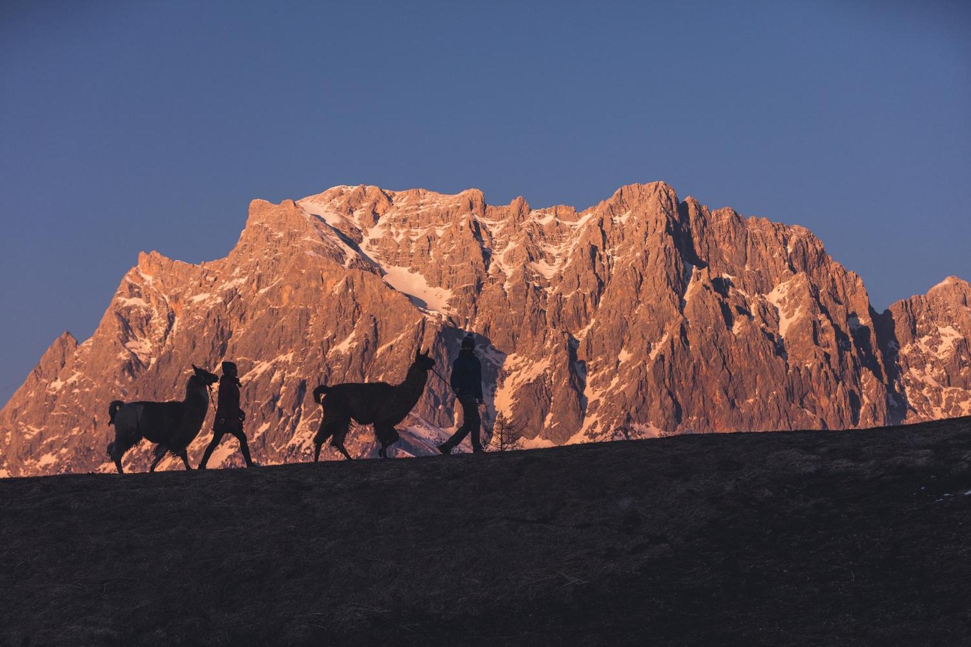 Appartement Gipfelblick- Tiroler Zugspitze Arena In Бібервір Екстер'єр фото